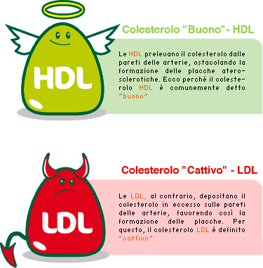 acidi grassi e colesterolo acidi grassi e colesterolo